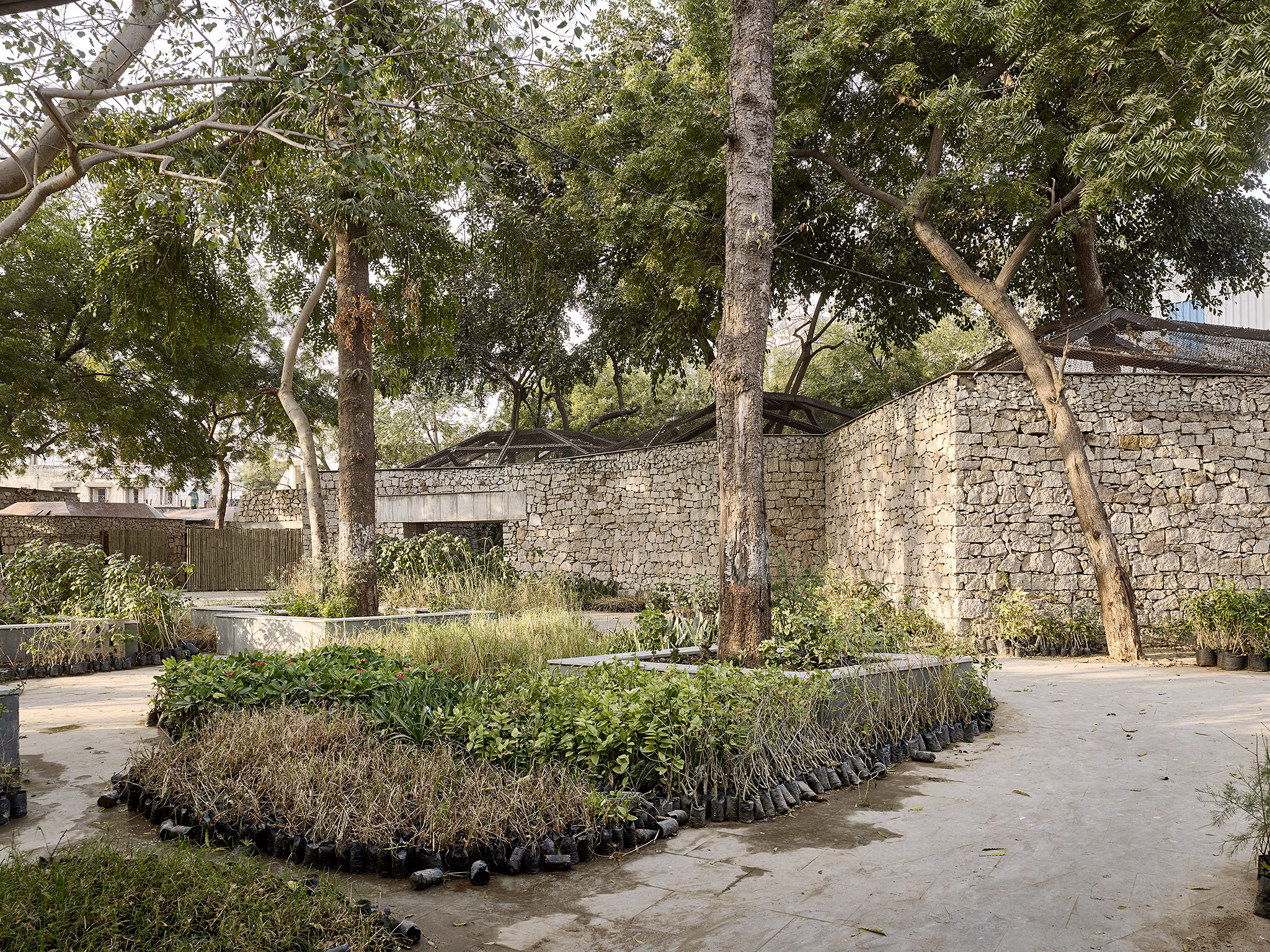 Nocturnal Animal House, Kamla Nehru zoological garden, Ahmedabad